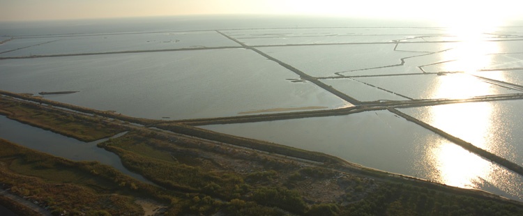 slides.Mesolonghion_Lagoon_framegk-is-118