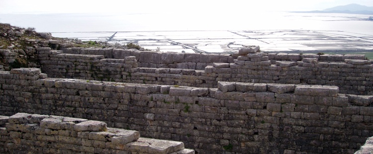 slides.Pleurona_framegk-is-118