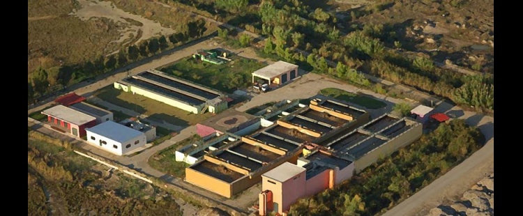 slides.summer4gk-is-118